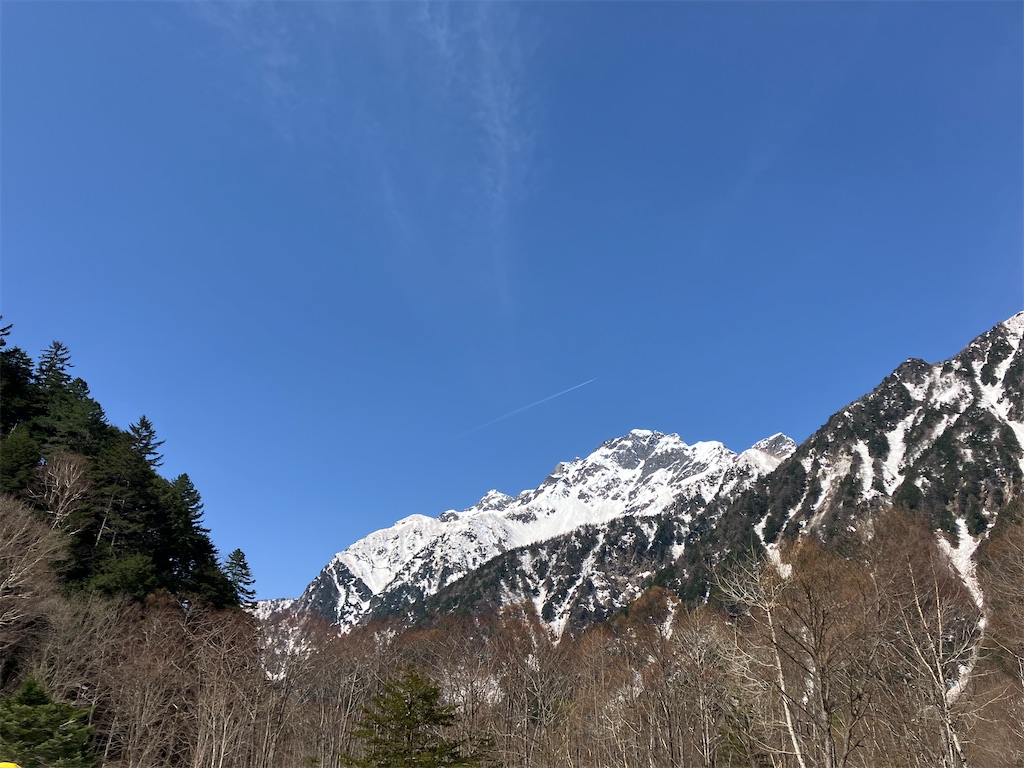 f:id:amefuri5kumanoko:20250511152530j:image