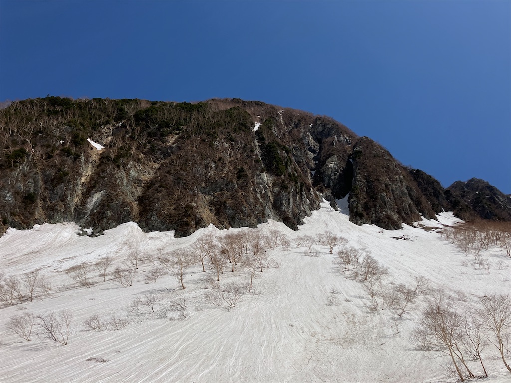 f:id:amefuri5kumanoko:20250511152555j:image