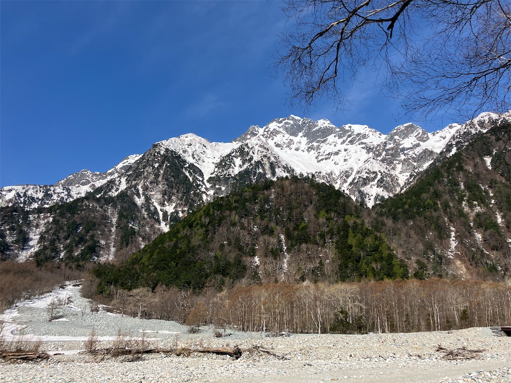 f:id:amefuri5kumanoko:20250511152612j:image