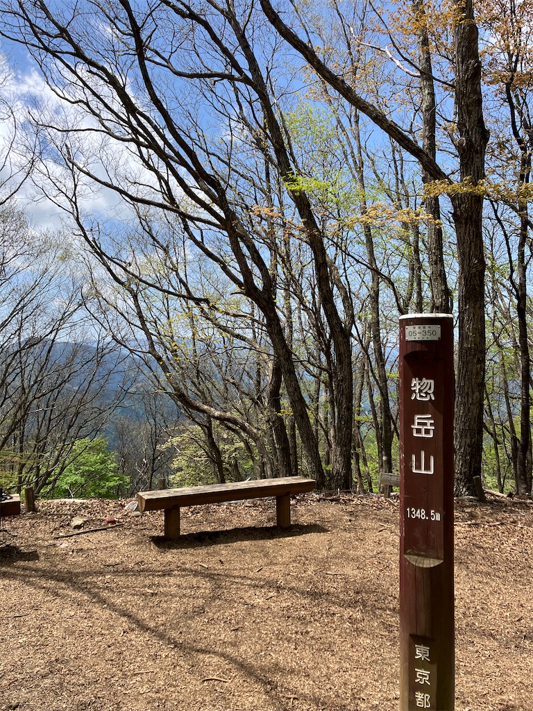 f:id:amefuri5kumanoko:20250511155330j:image