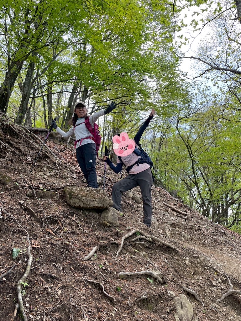f:id:amefuri5kumanoko:20250511155706j:image