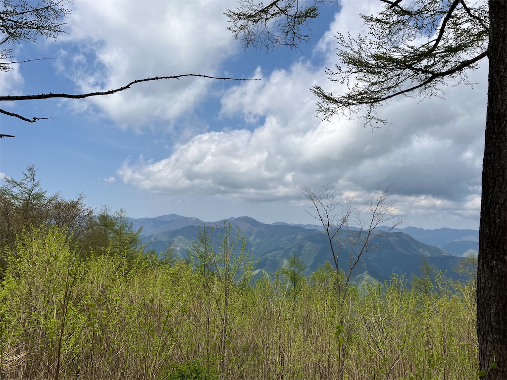 f:id:amefuri5kumanoko:20250511155902j:image