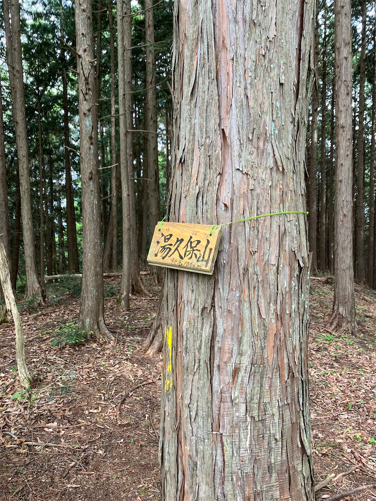 f:id:amefuri5kumanoko:20250511155933j:image