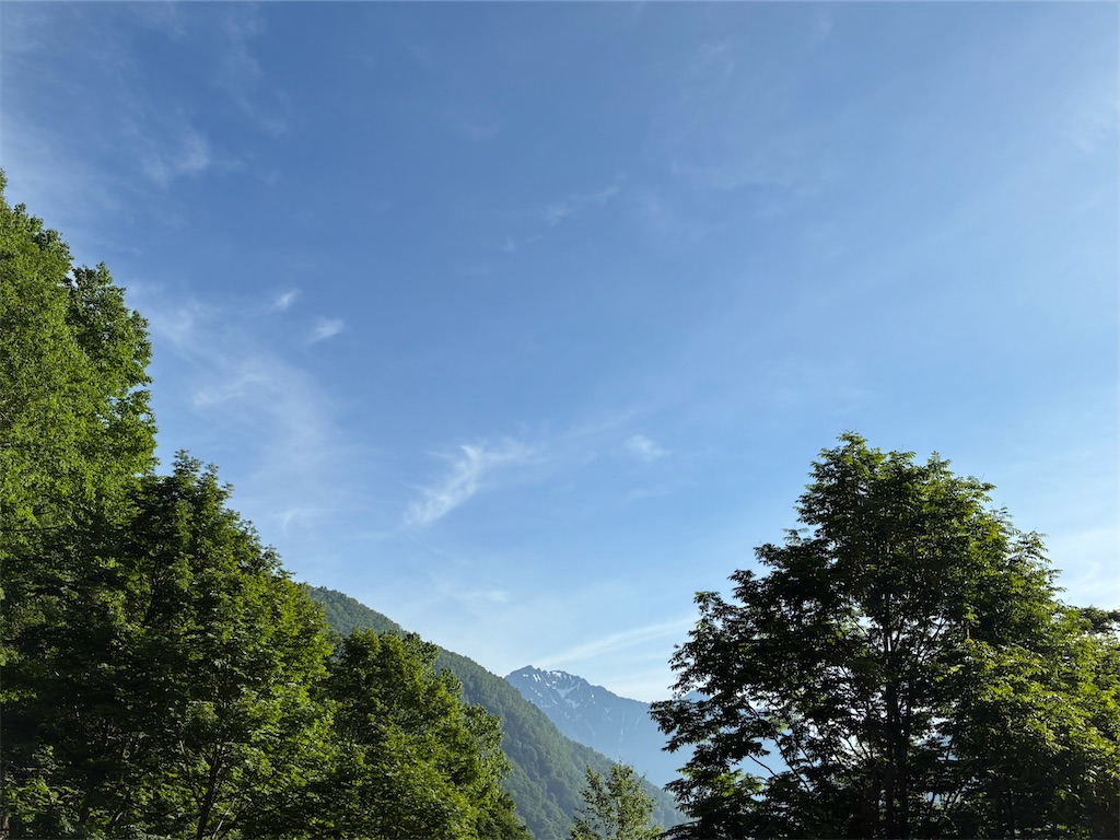 f:id:amefuri5kumanoko:20250702112302j:image