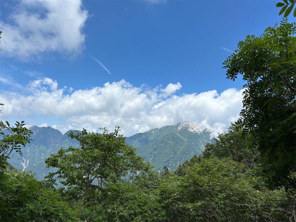 f:id:amefuri5kumanoko:20250716102653j:image