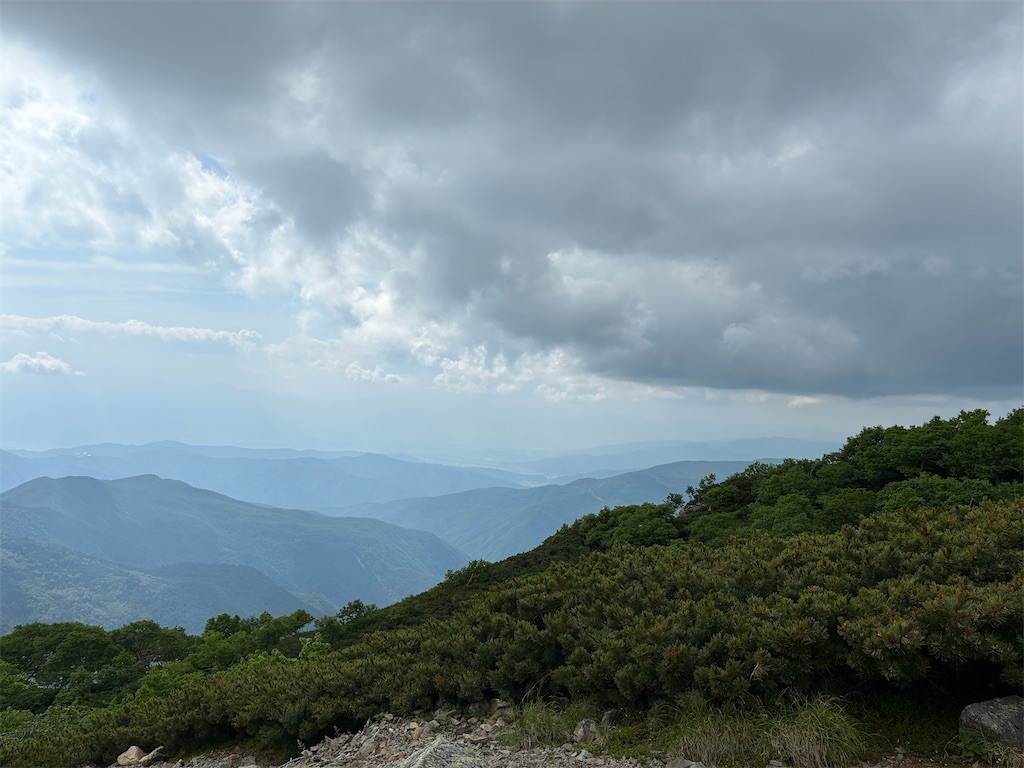 f:id:amefuri5kumanoko:20250716110229j:image