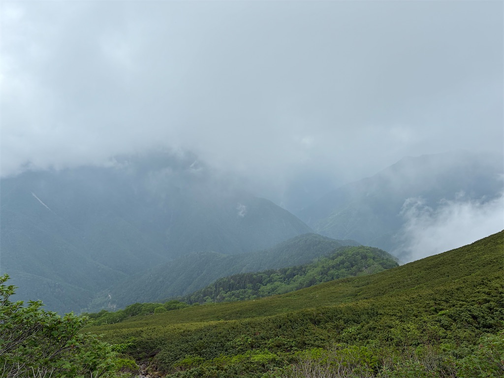 f:id:amefuri5kumanoko:20250716111229j:image