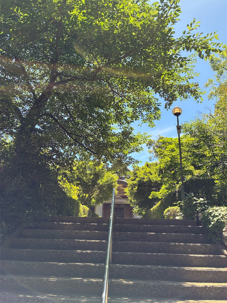 f:id:amefuri5kumanoko:20250723182513j:image