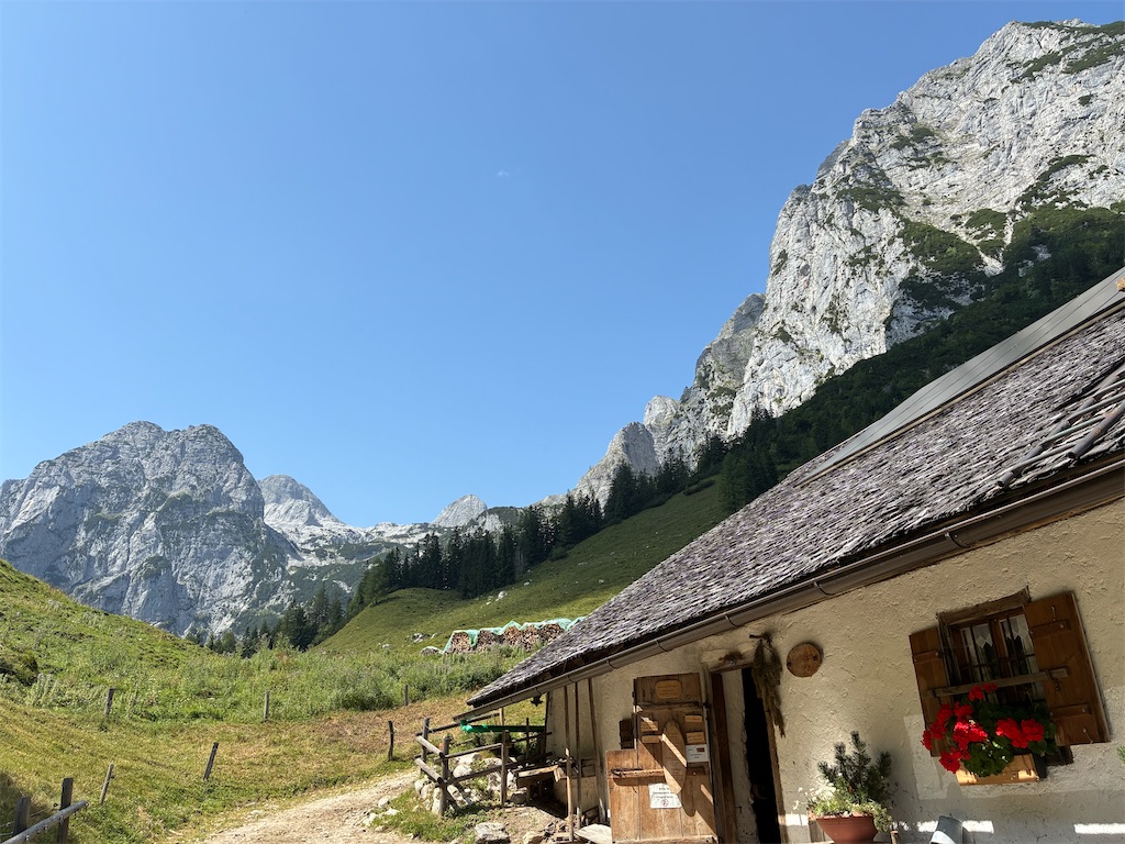 f:id:amefuri5kumanoko:20250822081103j:image f:id:amefuri5kumanoko:20250822081103j:image