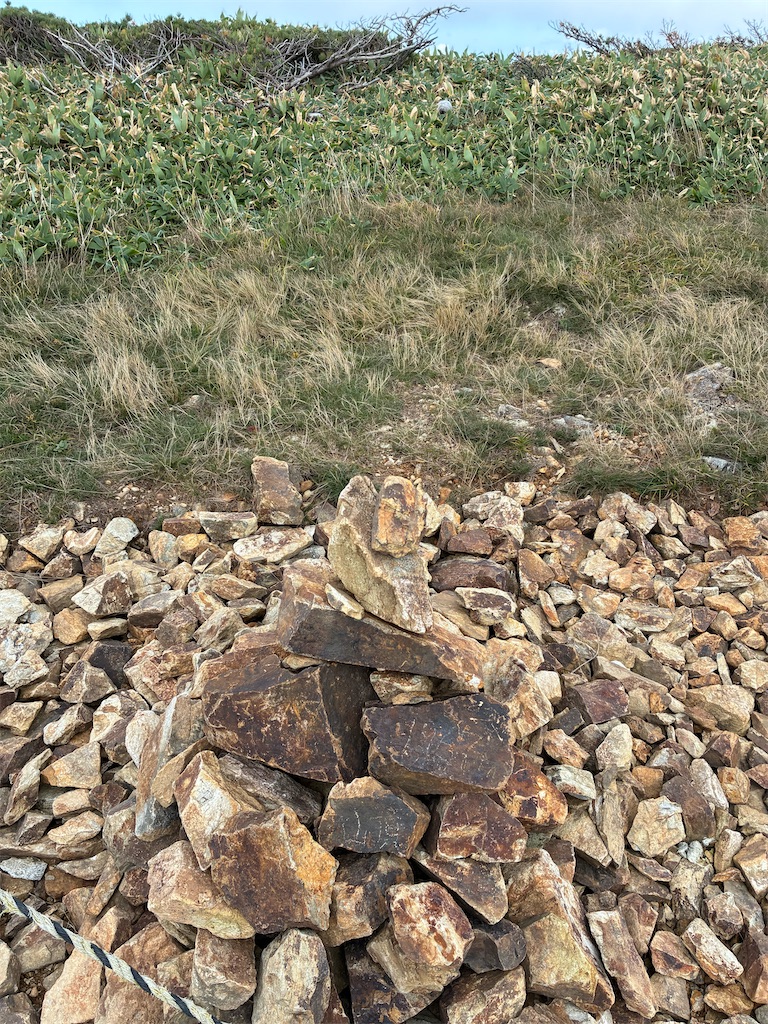 f:id:amefuri5kumanoko:20251003070358j:image f:id:amefuri5kumanoko:20251003070358j:image