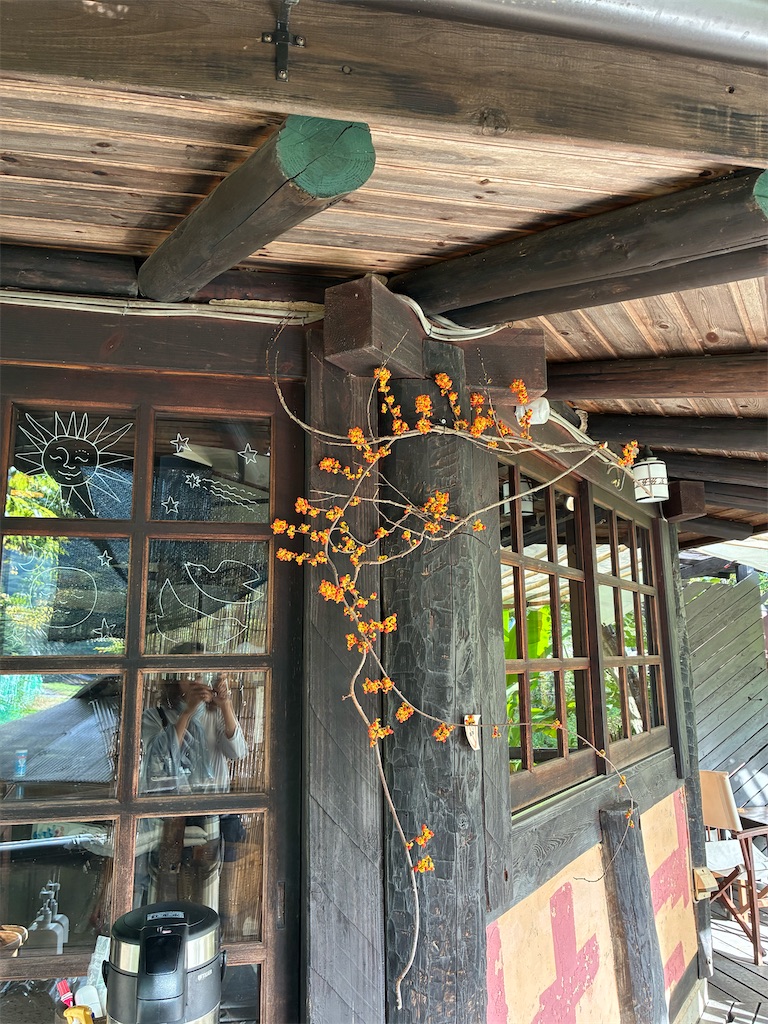 f:id:amefuri5kumanoko:20251018223906j:image f:id:amefuri5kumanoko:20251018223906j:image