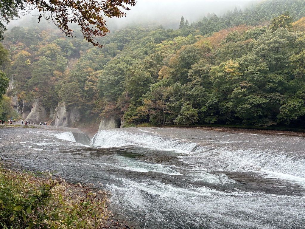 f:id:amefuri5kumanoko:20251108013151j:image