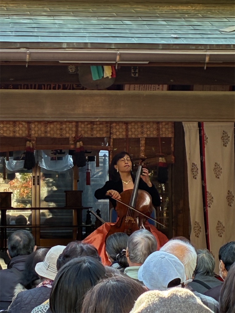 f:id:amefuri5kumanoko:20251128172247j:image