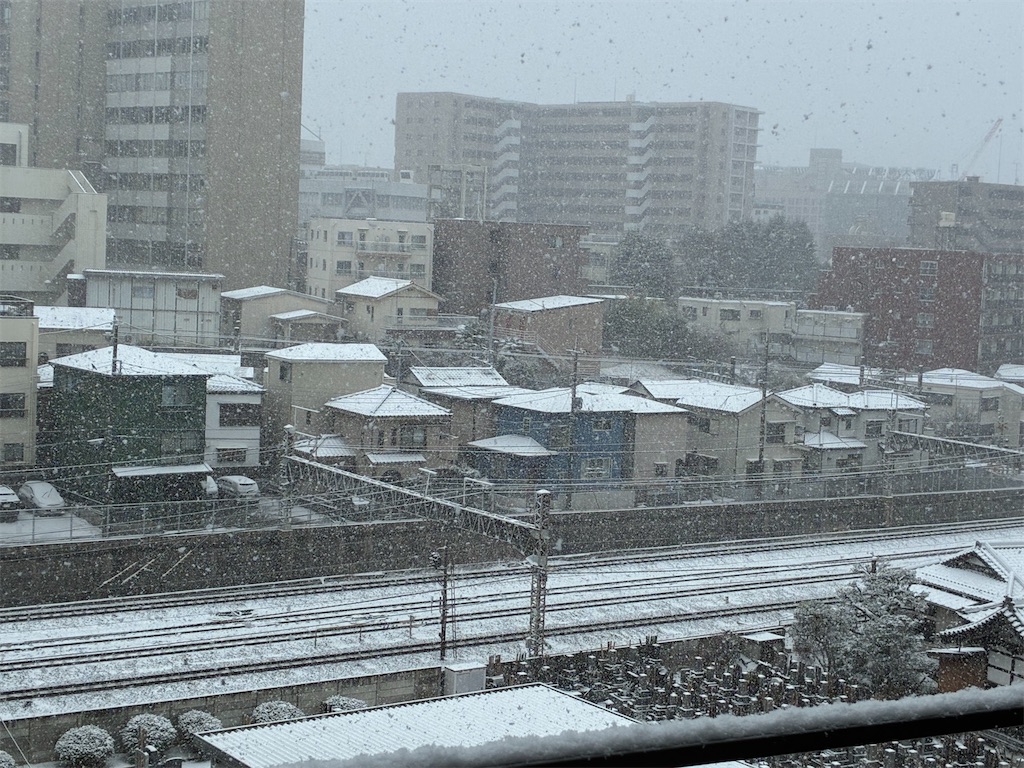 f:id:amefuri5kumanoko:20260210094638j:image