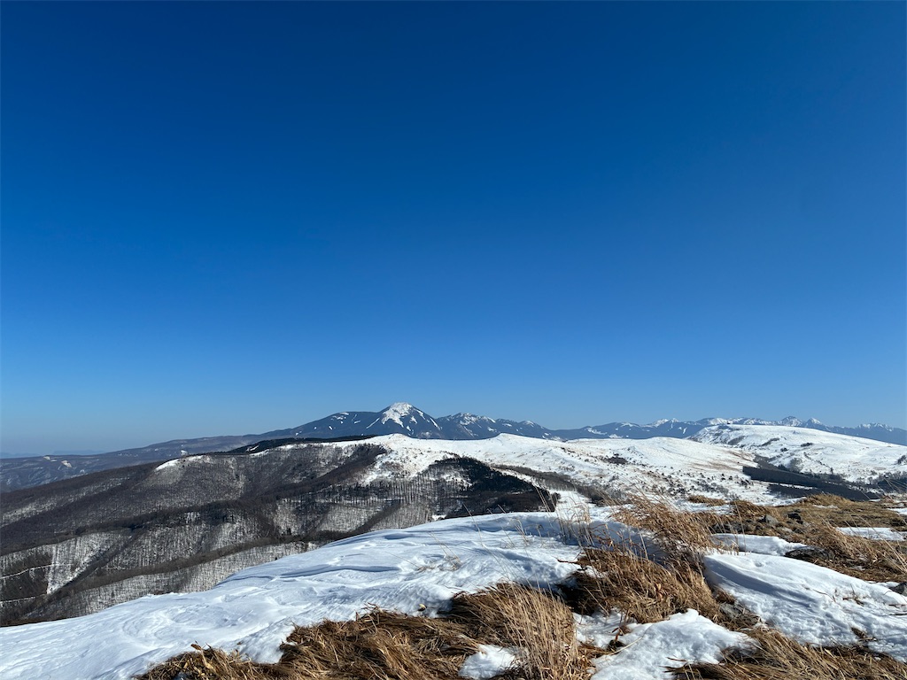 f:id:amefuri5kumanoko:20260219035708j:image