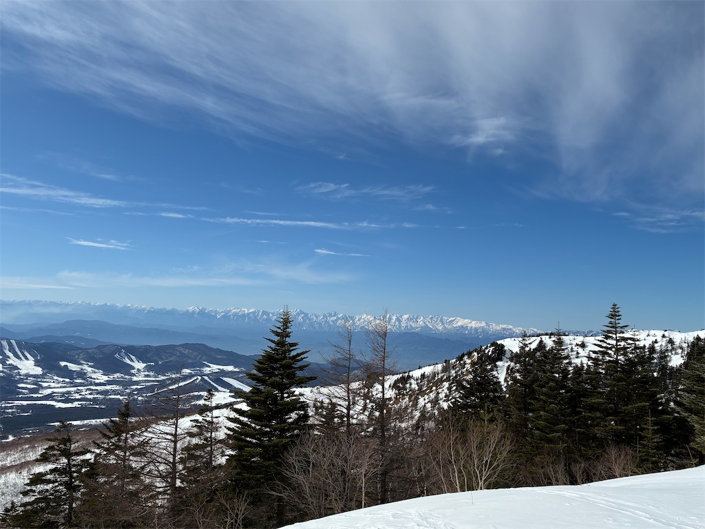 f:id:amefuri5kumanoko:20260302002702j:image