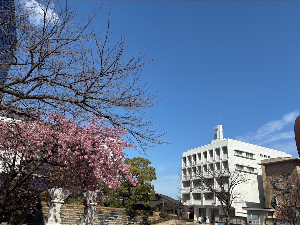 f:id:amefuri5kumanoko:20260302074438j:image