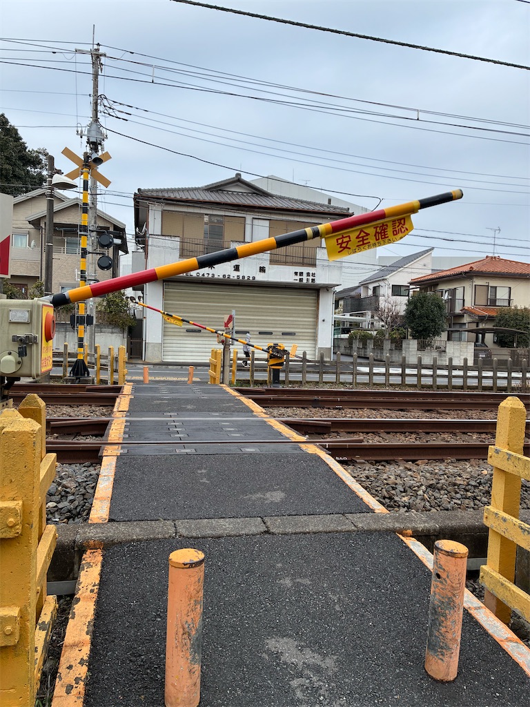 f:id:amefuri5kumanoko:20260321221314j:image