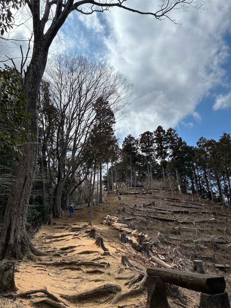 f:id:amefuri5kumanoko:20260321233027j:image