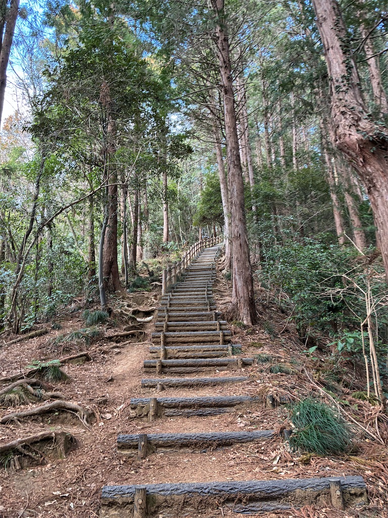 f:id:amefuri5kumanoko:20260321233036j:image
