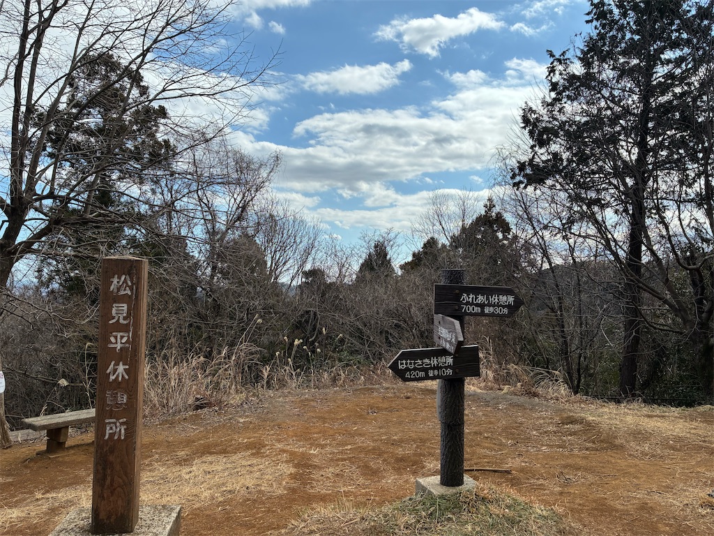 f:id:amefuri5kumanoko:20260321233055j:image