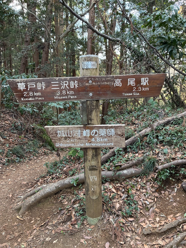 f:id:amefuri5kumanoko:20260321233059j:image