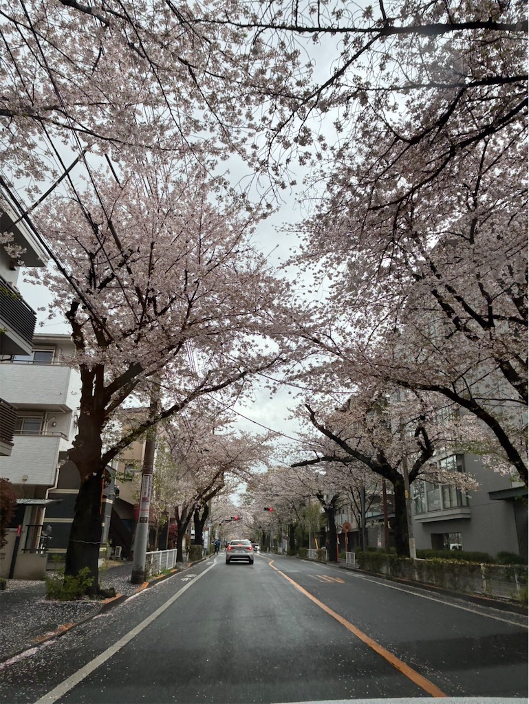 f:id:amefuri5kumanoko:20260411105644j:image