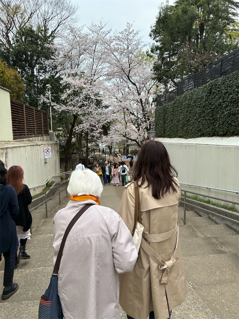 f:id:amefuri5kumanoko:20260411105807j:image