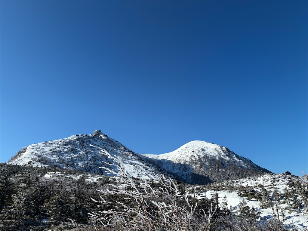 f:id:amefuri5kumanoko:20260411111445j:image