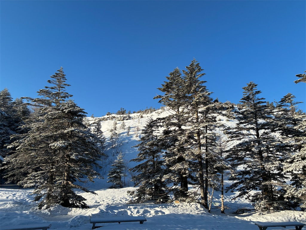 f:id:amefuri5kumanoko:20260411111452j:image