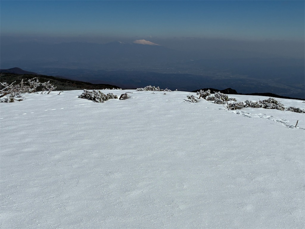 f:id:amefuri5kumanoko:20260411111714j:image