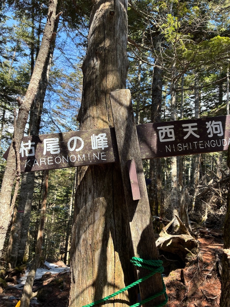 f:id:amefuri5kumanoko:20260411111748j:image