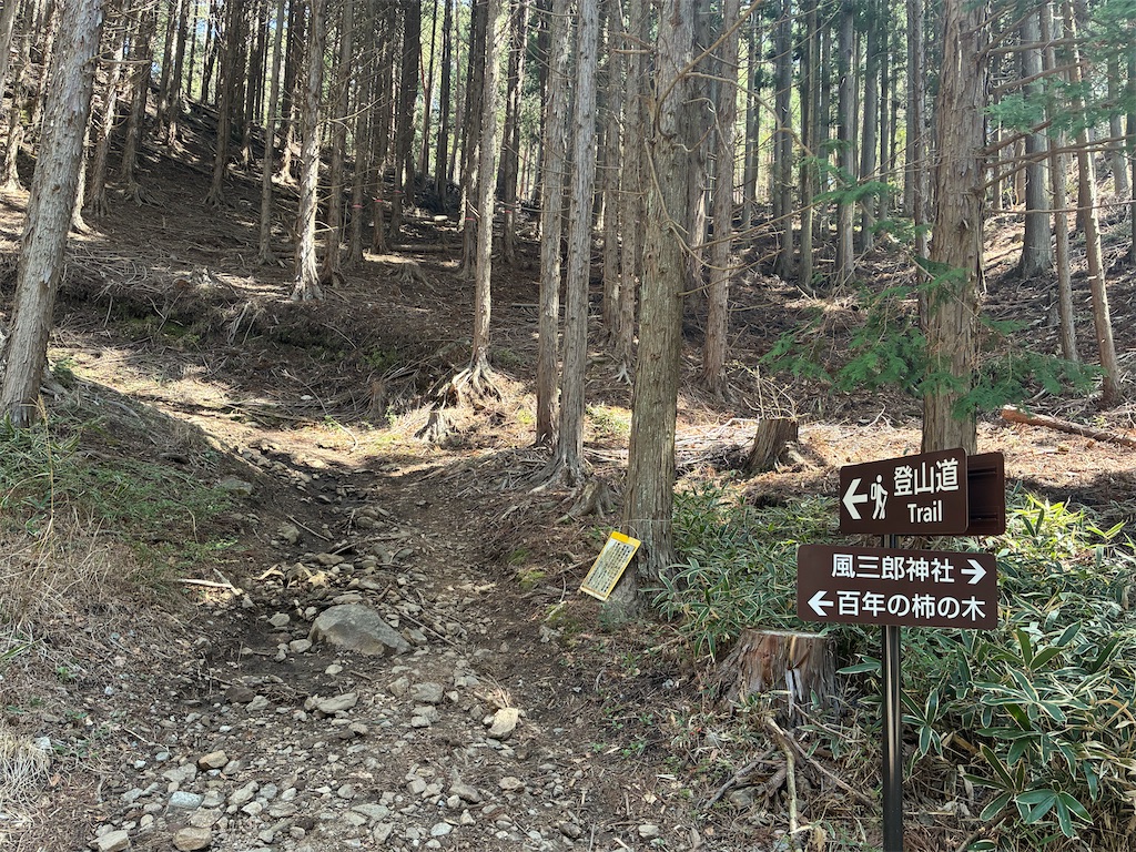 f:id:amefuri5kumanoko:20260416010604j:image f:id:amefuri5kumanoko:20260416010604j:image