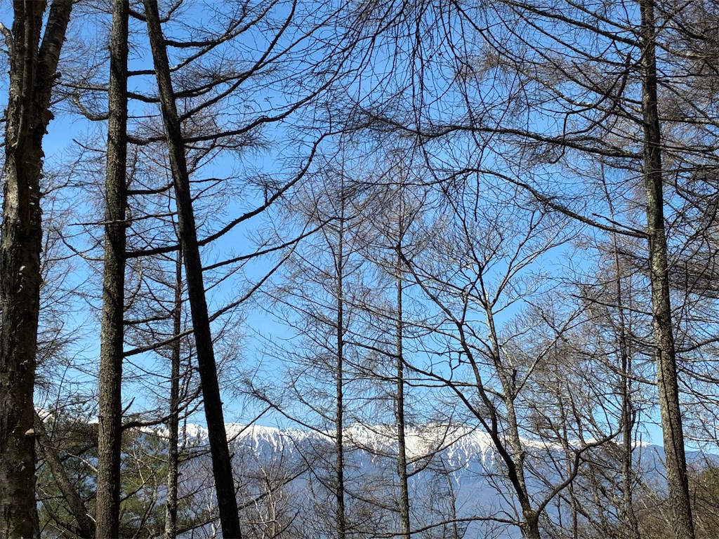 f:id:amefuri5kumanoko:20260416010616j:image f:id:amefuri5kumanoko:20260416010616j:image