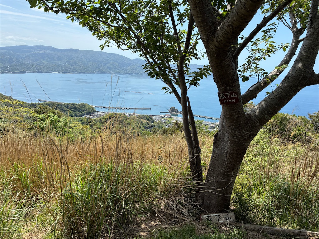 f:id:amefuri5kumanoko:20260427080512j:image f:id:amefuri5kumanoko:20260427080512j:image