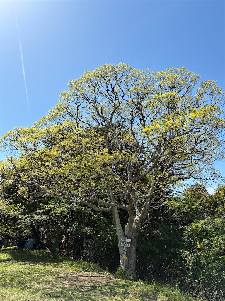 f:id:amefuri5kumanoko:20260427080701j:image f:id:amefuri5kumanoko:20260427080701j:image