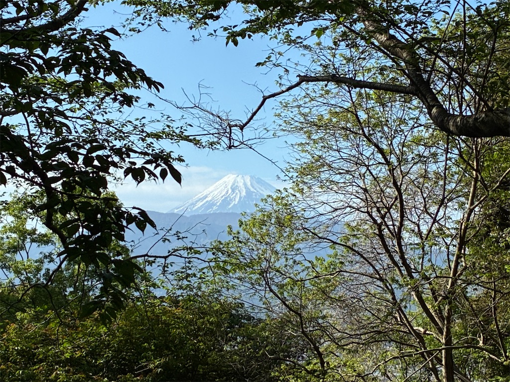 f:id:amefuri5kumanoko:20260501031819j:image f:id:amefuri5kumanoko:20260501031819j:image