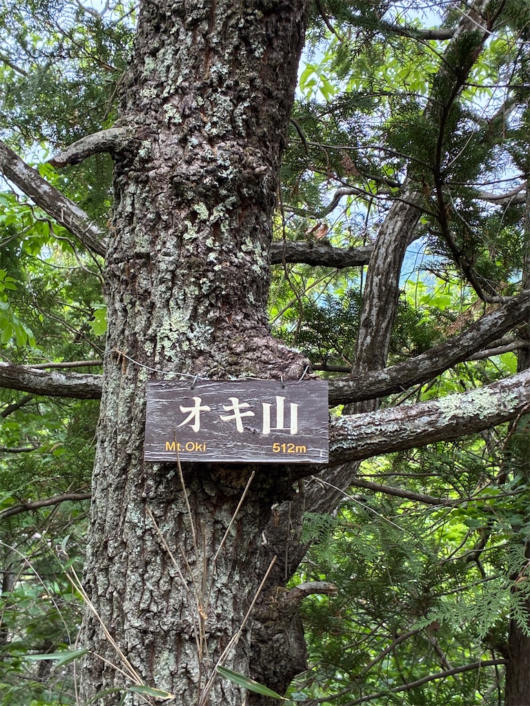 f:id:amefuri5kumanoko:20260510151002j:image f:id:amefuri5kumanoko:20260510151002j:image