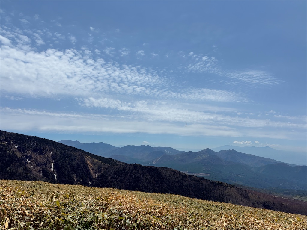 f:id:amefuri5kumanoko:20260603083505j:image f:id:amefuri5kumanoko:20260603083505j:image