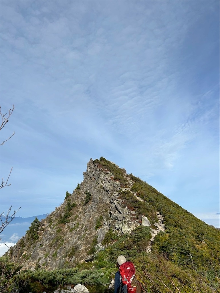 f:id:amefuri5kumanoko:20260603135205j:image