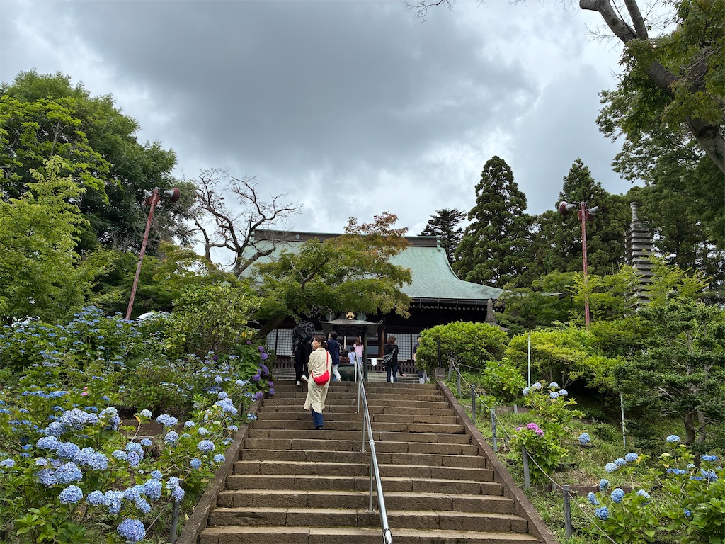 f:id:amefuri5kumanoko:20260620132539j:image