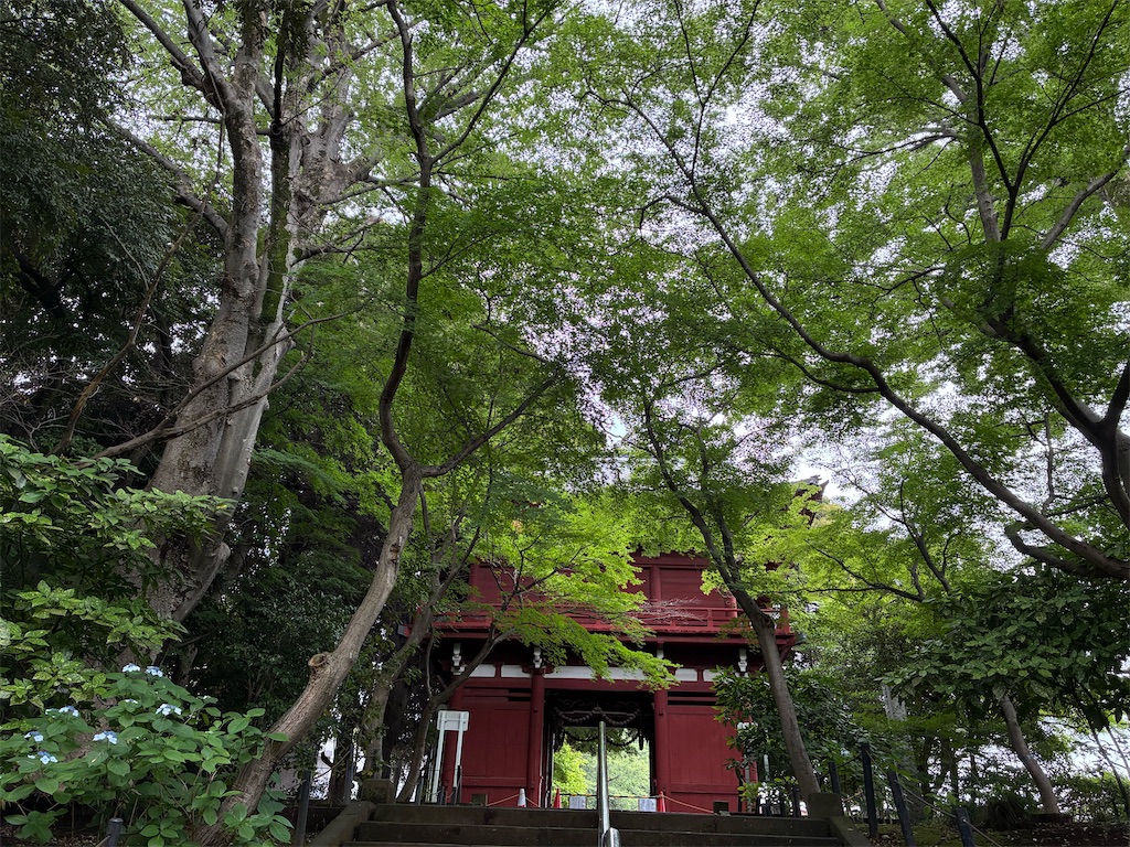 f:id:amefuri5kumanoko:20260620132552j:image