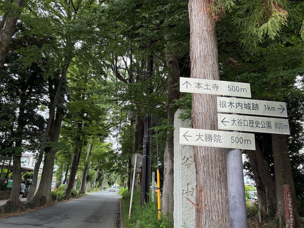 f:id:amefuri5kumanoko:20260620132638j:image
