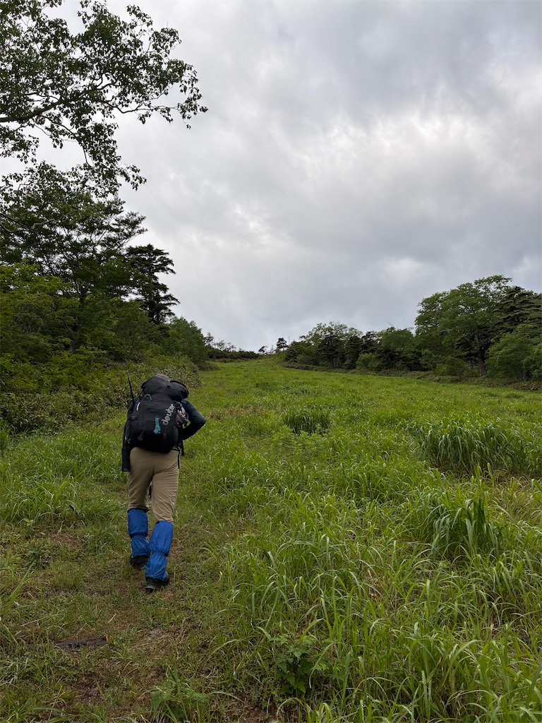 f:id:amefuri5kumanoko:20260629061034j:image