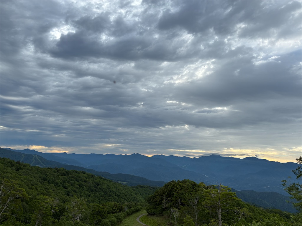 f:id:amefuri5kumanoko:20260708080849j:image