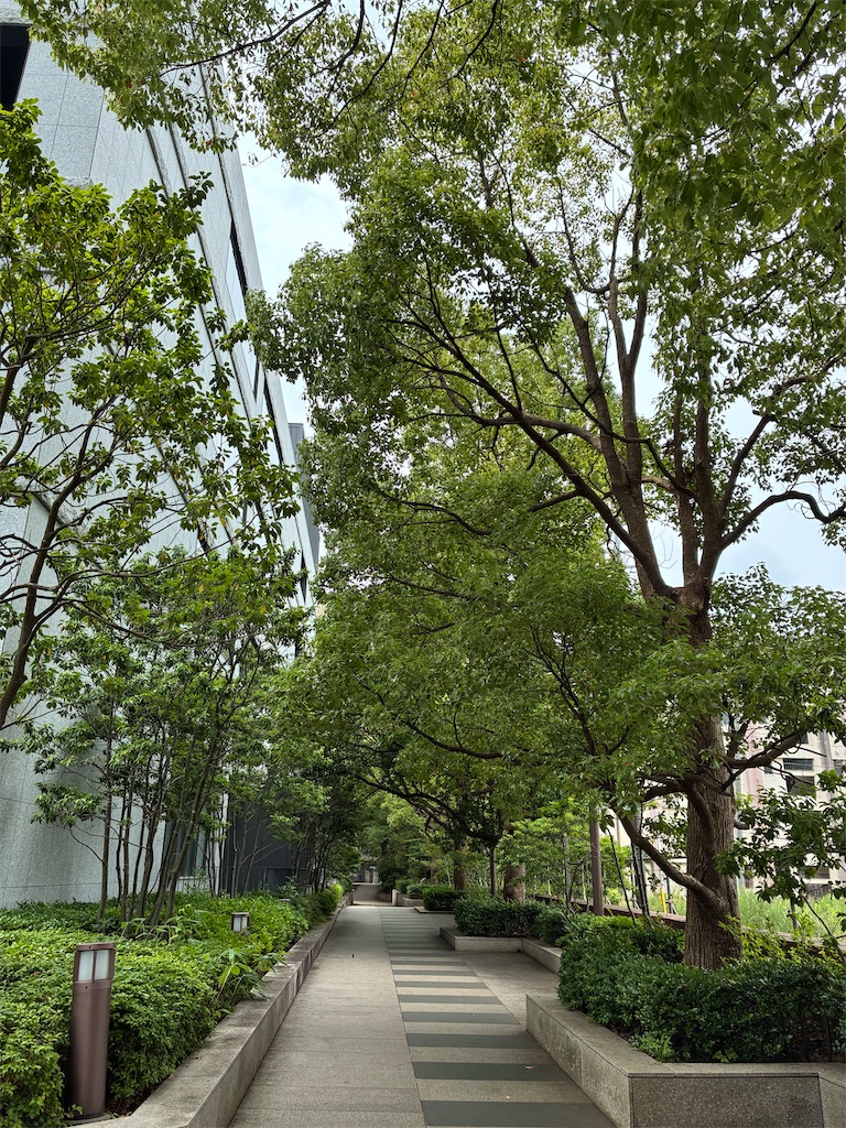 f:id:amefuri5kumanoko:20260716154654j:image