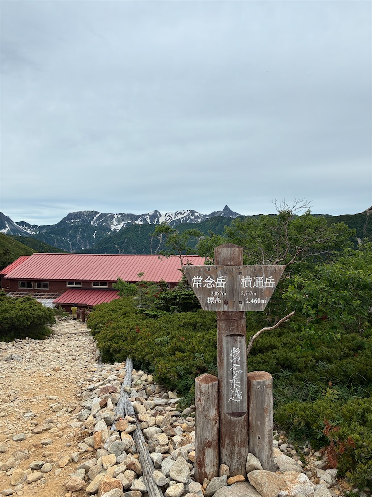 f:id:amefuri5kumanoko:20260722072406j:image