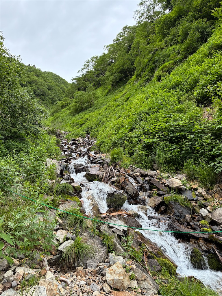 f:id:amefuri5kumanoko:20260722073958j:image