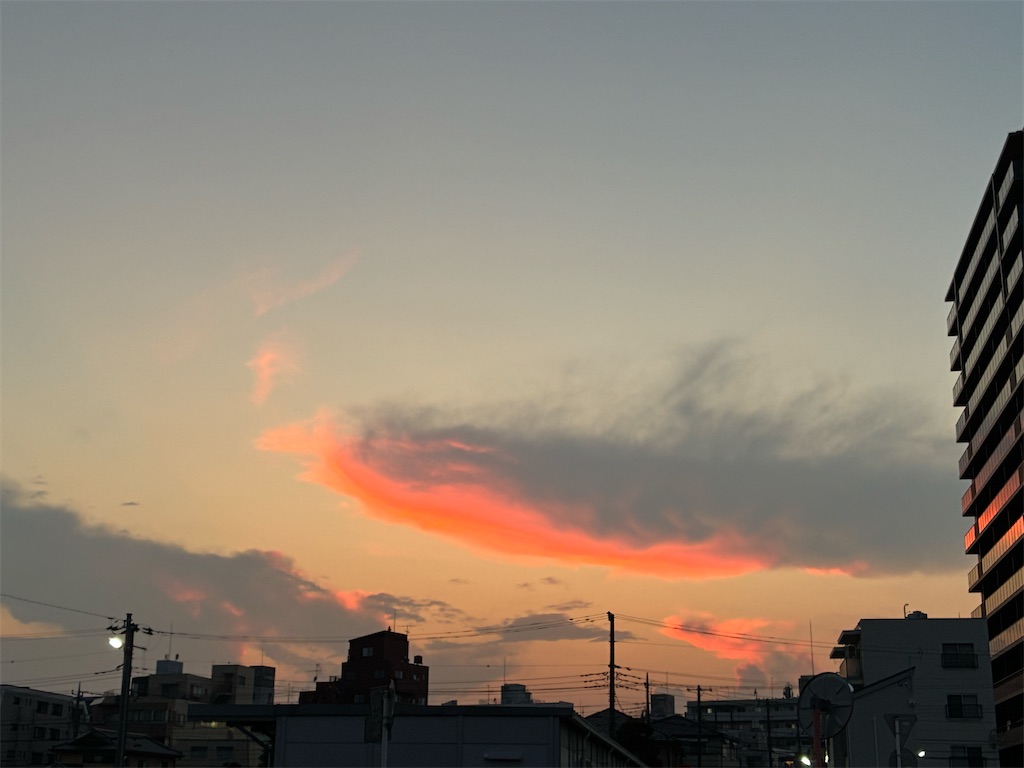 f:id:amefuri5kumanoko:20260723224937j:image