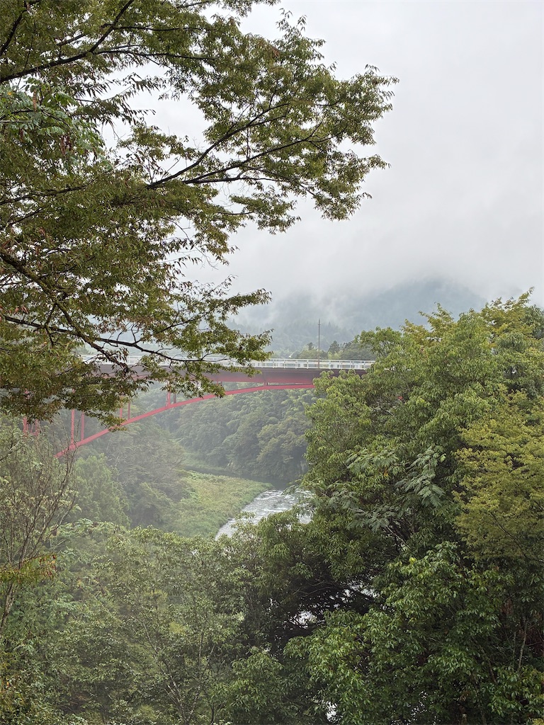 f:id:amefuri5kumanoko:20260911065014j:image